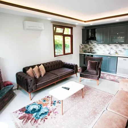 Secluded Villa With Pool Surrounded By Nature In Sapanca Villa